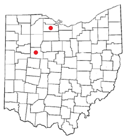 mapsparbarmac
